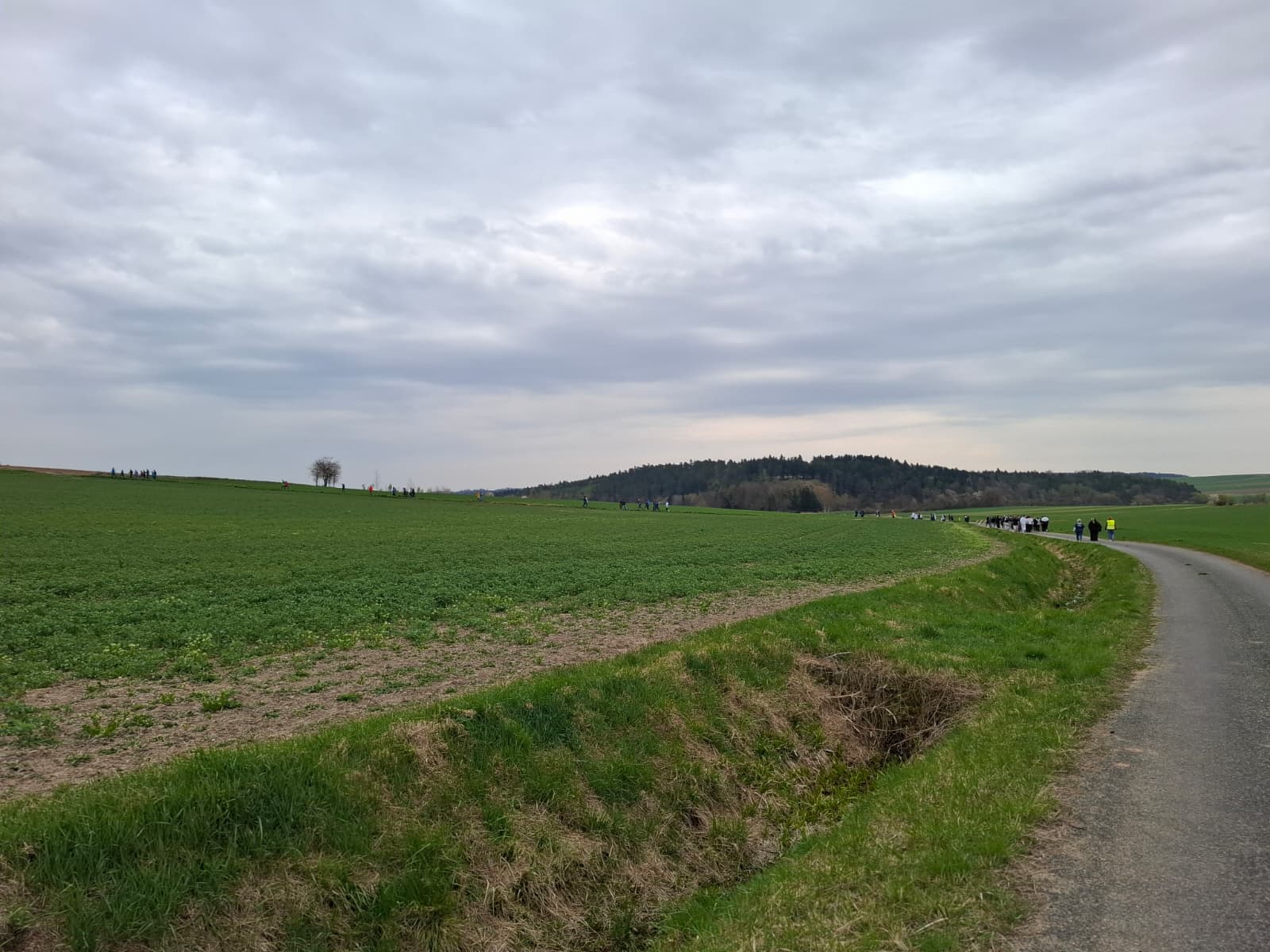 Lauf gegen Krebs